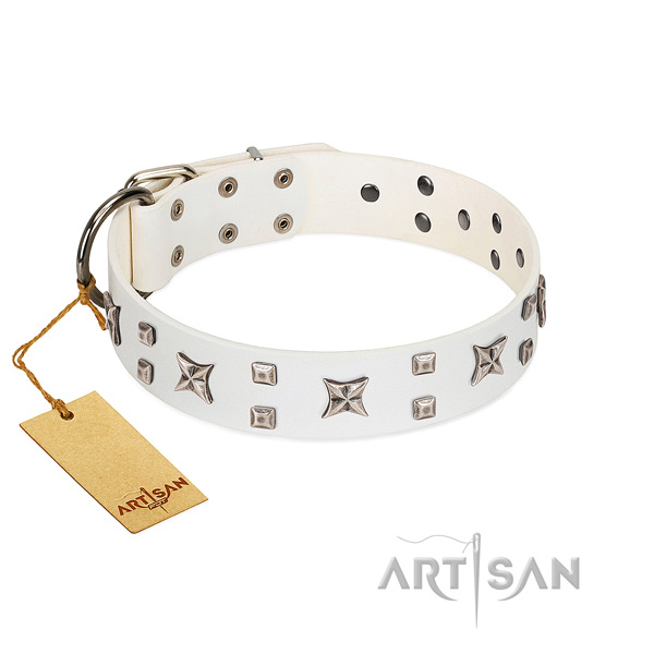 Designer embellished full grain natural leather dog collar of soft to touch material