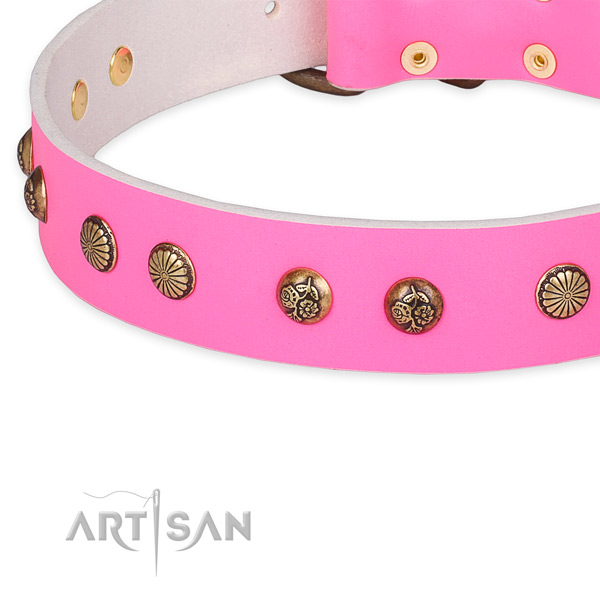 Stunning leather collar for your attractive canine