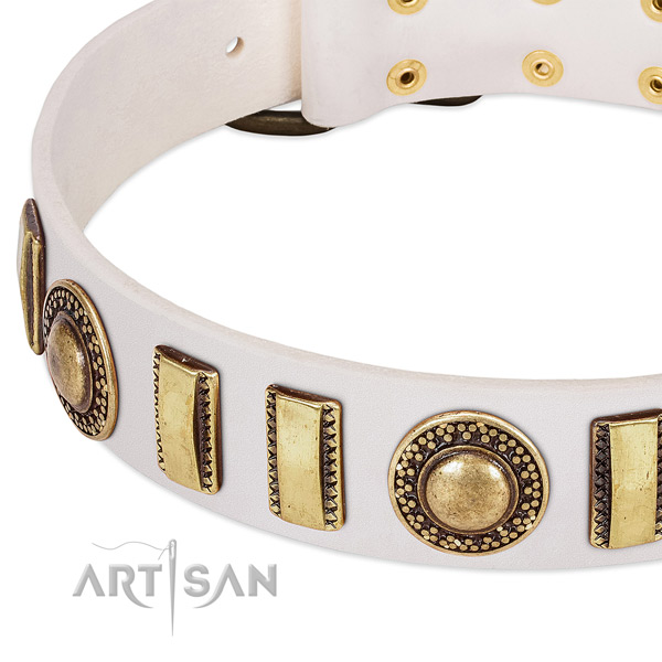 Gentle to touch genuine leather dog collar with strong fittings