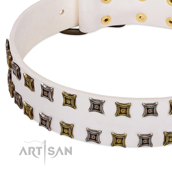 Genuine leather dog collar with adornments for your stylish dog