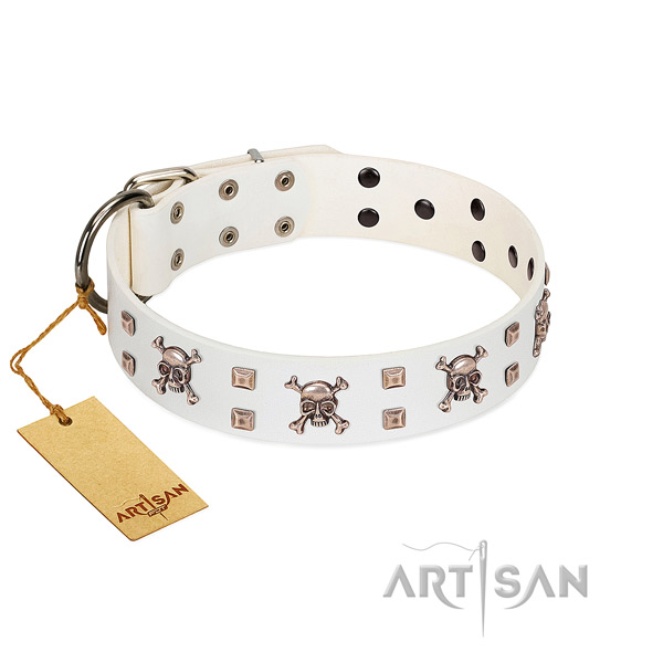 Leather dog collar with remarkable decorations