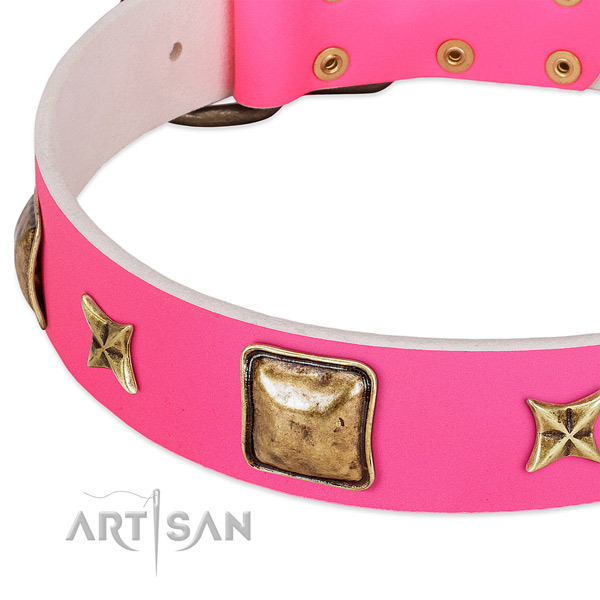 Full grain natural leather dog collar with top notch embellishments