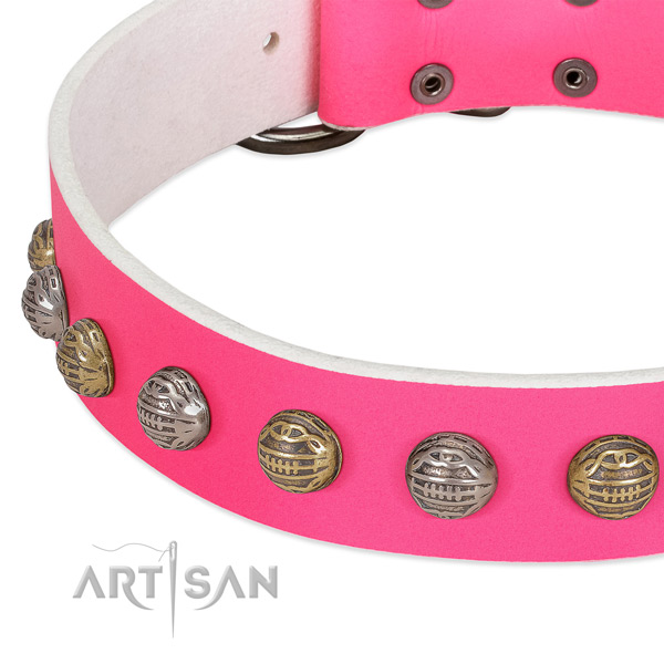 Durable buckle on full grain natural leather collar for stylish walking your doggie