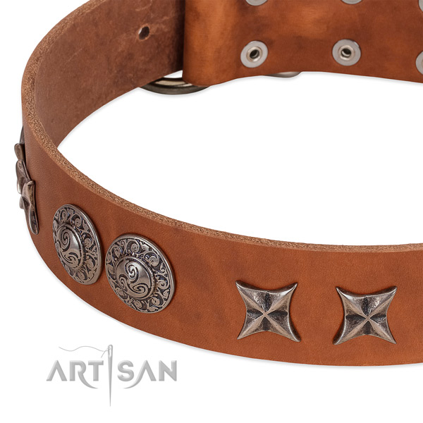 Stunning leather dog collar with corrosion proof traditional buckle
