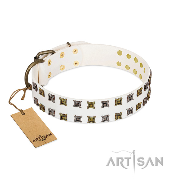 Durable natural leather dog collar with embellishments for your four-legged friend