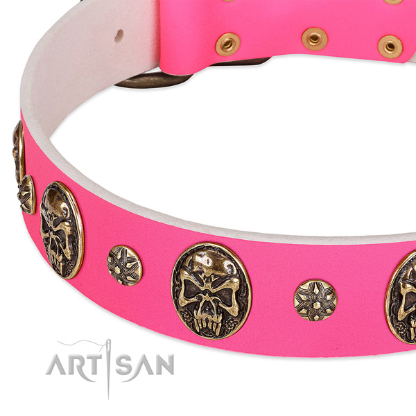 Convenient dog collar handcrafted for your stylish pet