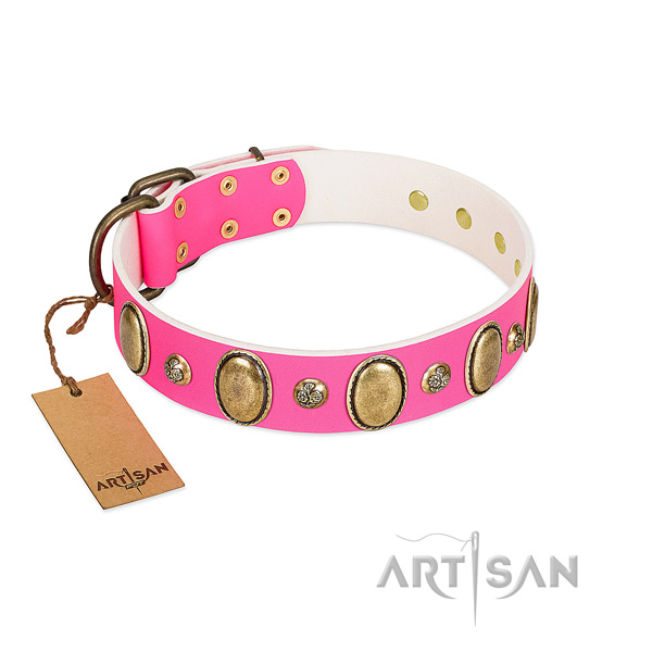 Leather dog collar of soft to touch material with significant embellishments