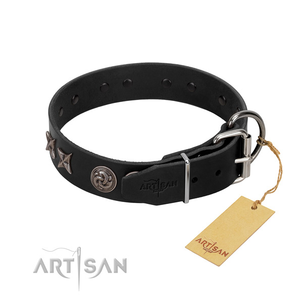 Strong leather dog collar with embellishments for your canine