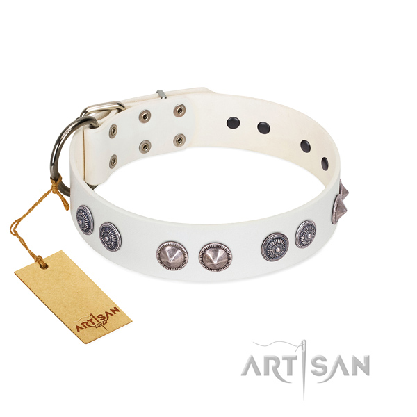 Best quality leather dog collar with reliable traditional buckle