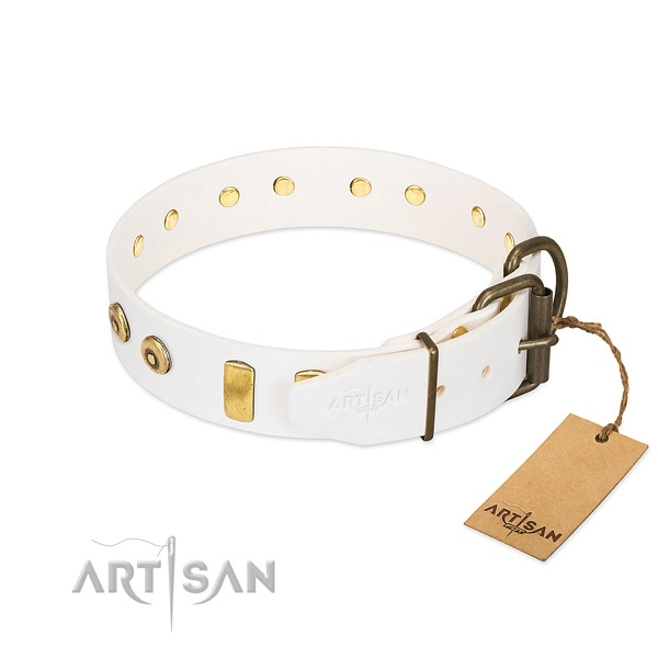 Unique studded genuine leather dog collar of top notch material