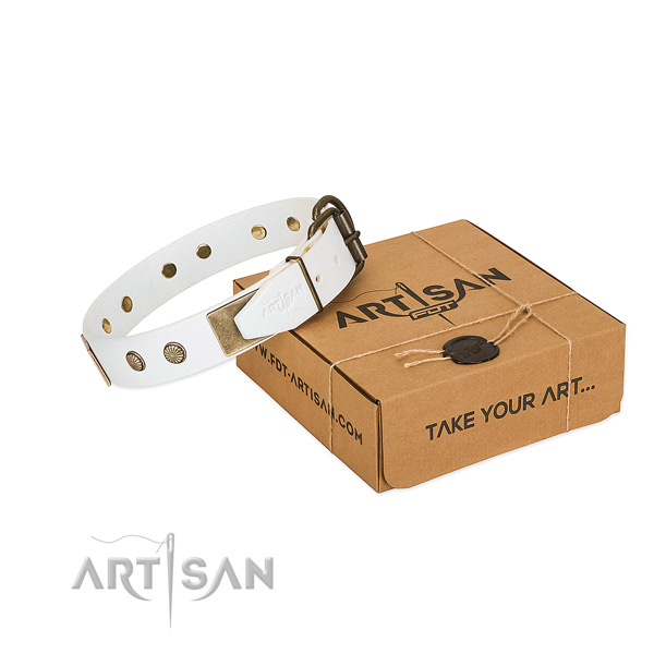 Strong hardware on dog collar for basic training