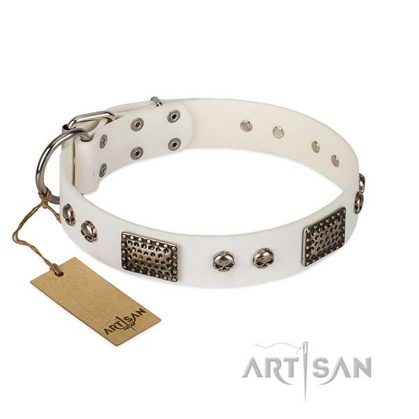 Adjustable natural genuine leather dog collar for everyday walking your canine