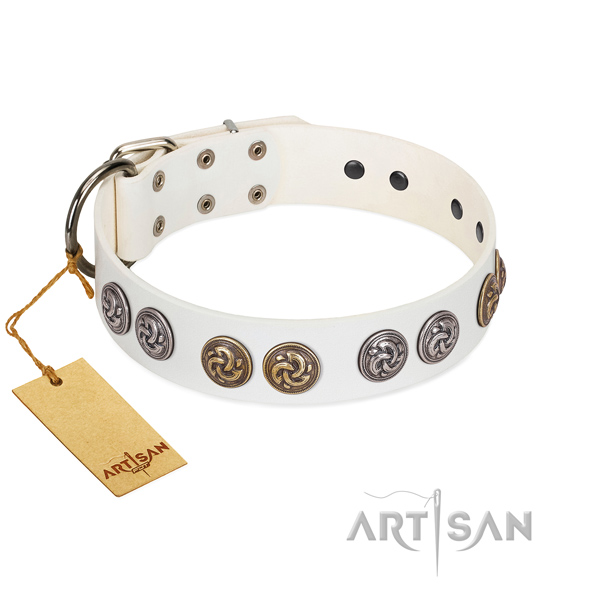 Designer collar of full grain natural leather for your beautiful doggie