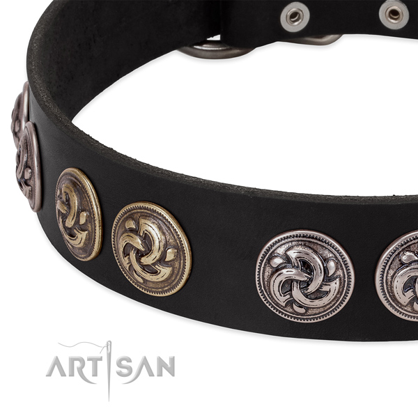 Unusual full grain genuine leather collar for your dog daily walking