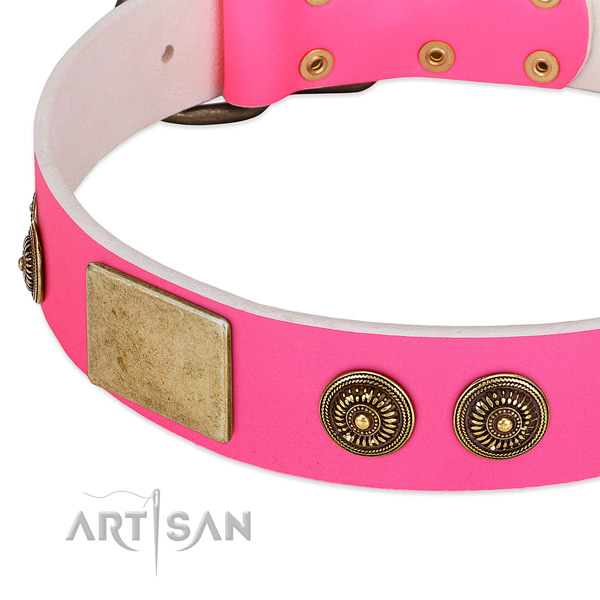 Comfortable dog collar created for your beautiful doggie