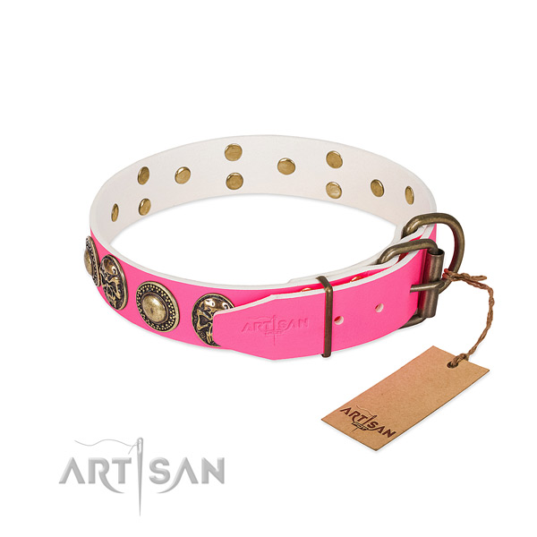 Corrosion resistant traditional buckle on walking dog collar