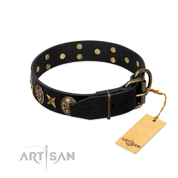 Corrosion proof adornments on full grain leather dog collar for your dog