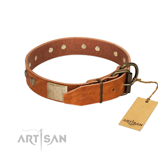 Rust-proof studs on handy use dog collar