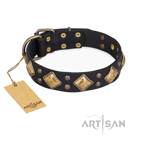 Comfortable wearing impressive dog collar with strong buckle