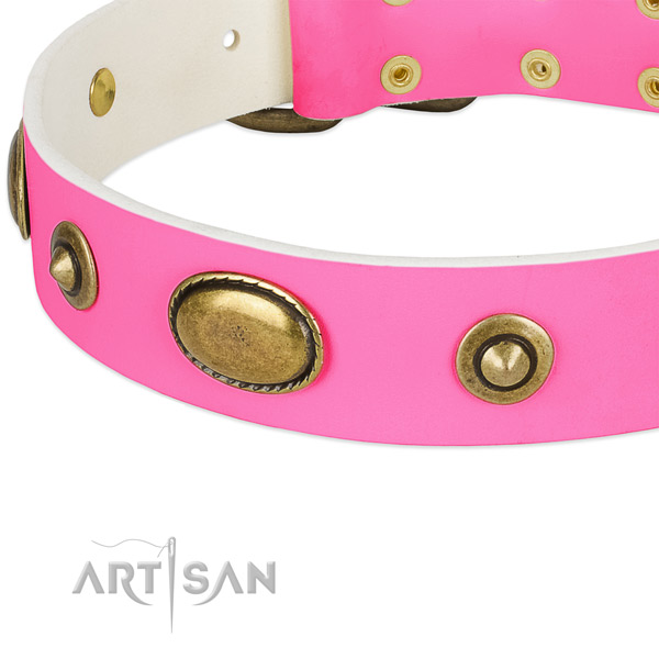 Corrosion resistant buckle on leather dog collar for your doggie