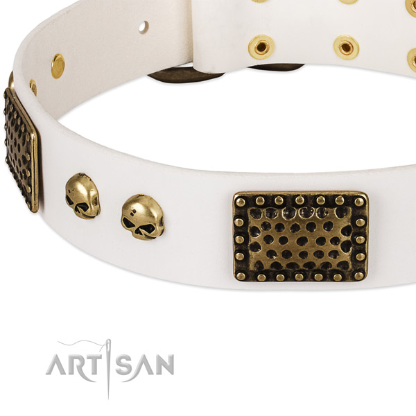 Corrosion resistant decorations on genuine leather dog collar for your doggie