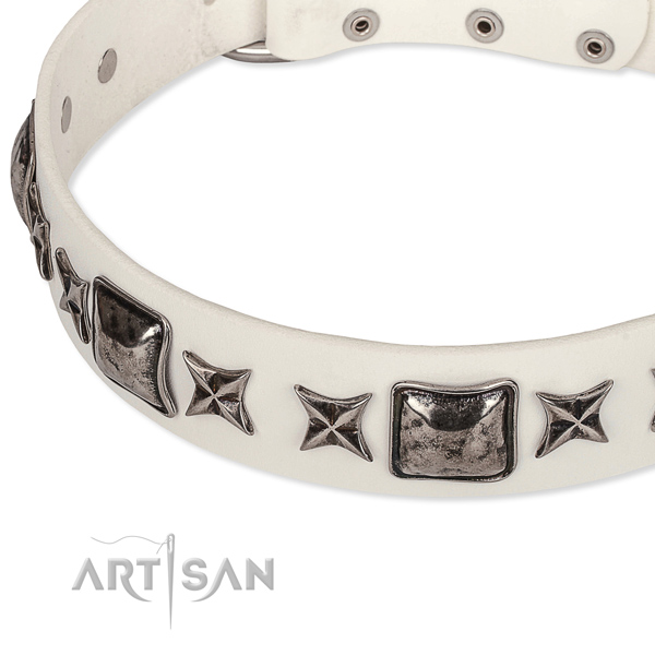Comfy wearing embellished dog collar of top quality full grain natural leather