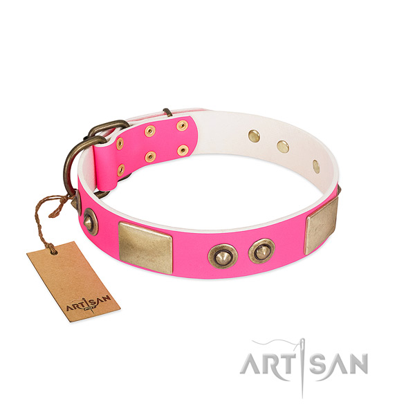 Rust resistant embellishments on genuine leather dog collar for your doggie