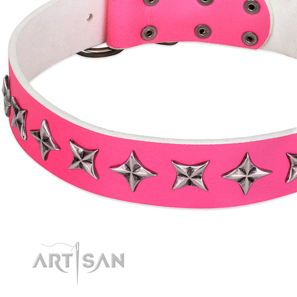 Stylish walking embellished dog collar of strong leather