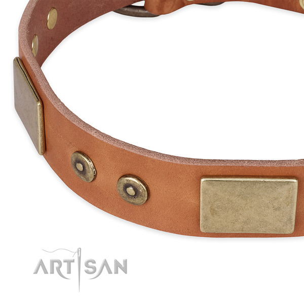 Durable studs on genuine leather dog collar for your pet