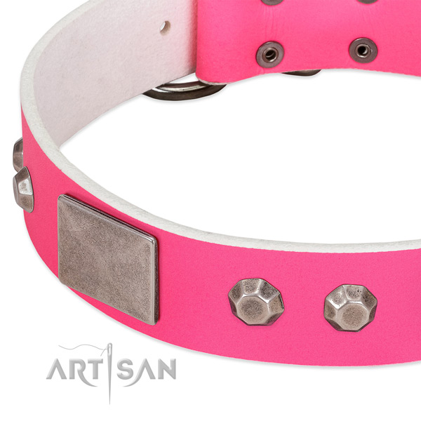 Top notch natural leather dog collar with embellishments