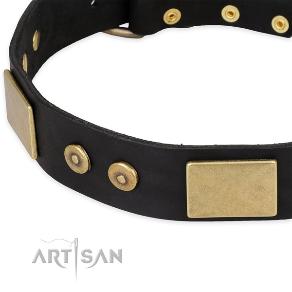 Corrosion proof traditional buckle on leather dog collar for your doggie