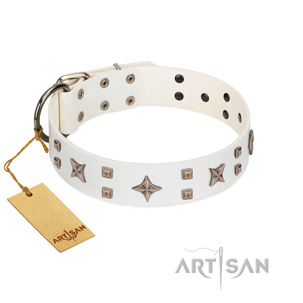 Everyday use genuine leather dog collar with remarkable studs