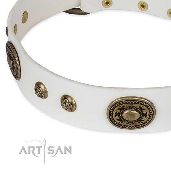 Designer leather collar for your beautiful doggie