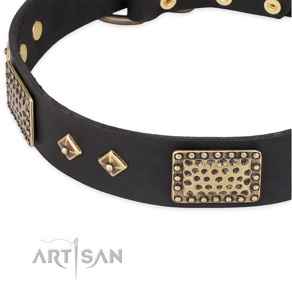 Strong studs on full grain natural leather dog collar for your four-legged friend