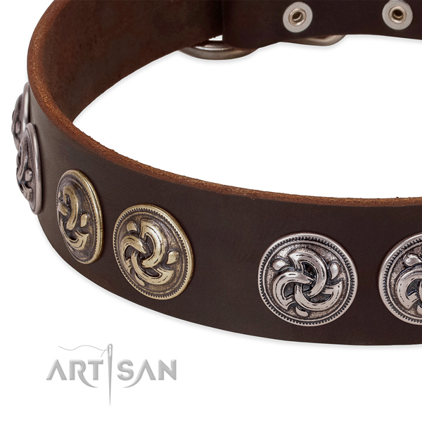 Trendy genuine leather collar for your pet daily walking