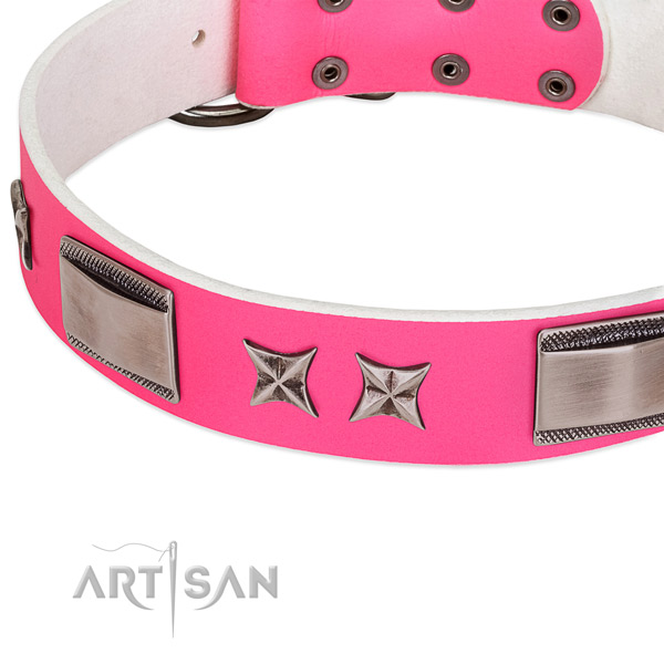 Significant collar of leather for your handsome canine