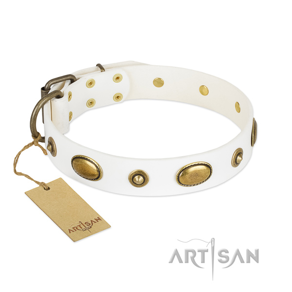 Embellished genuine leather collar for your doggie
