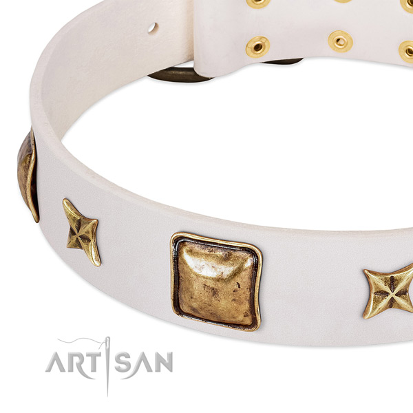 Reliable embellishments on full grain genuine leather dog collar for your four-legged friend