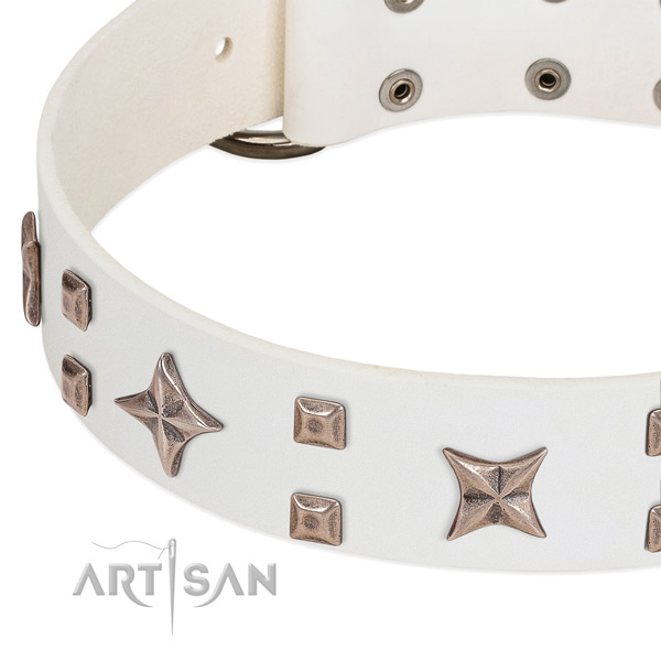 Strong buckle on genuine leather collar for basic training your dog