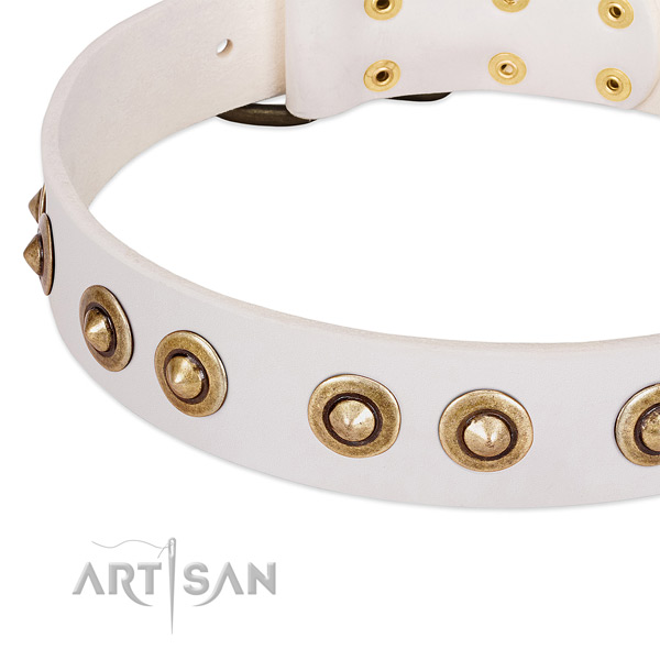 Corrosion proof traditional buckle on full grain natural leather dog collar for your doggie