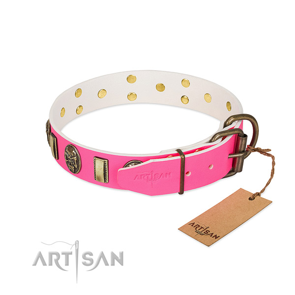 Reliable fittings on full grain leather dog collar for your dog
