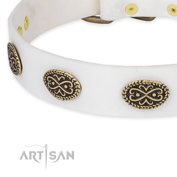 Top quality leather collar for your beautiful pet