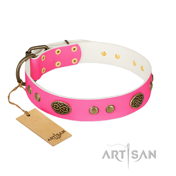 Corrosion resistant fittings on natural leather dog collar for your dog