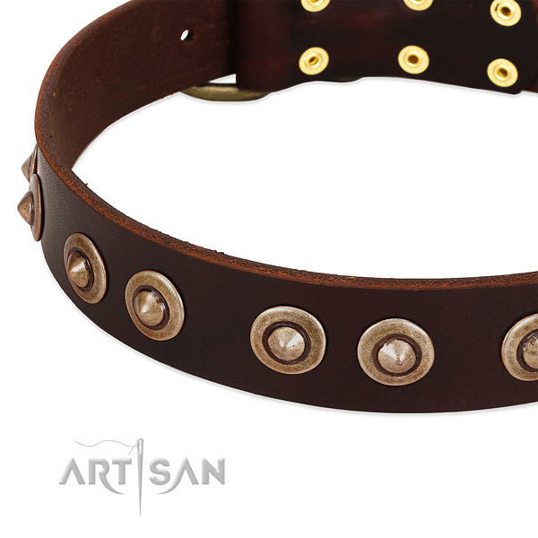Durable D-ring on leather dog collar for your canine