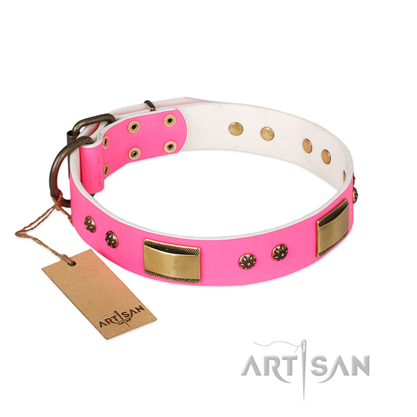 Exquisite genuine leather collar for your pet