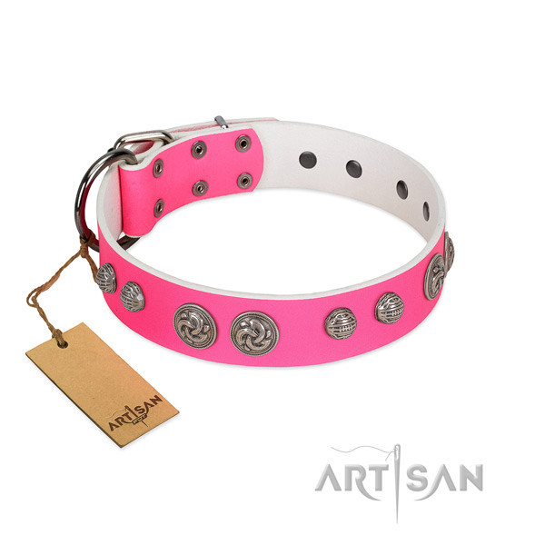 Strong embellishments on full grain genuine leather dog collar for your four-legged friend