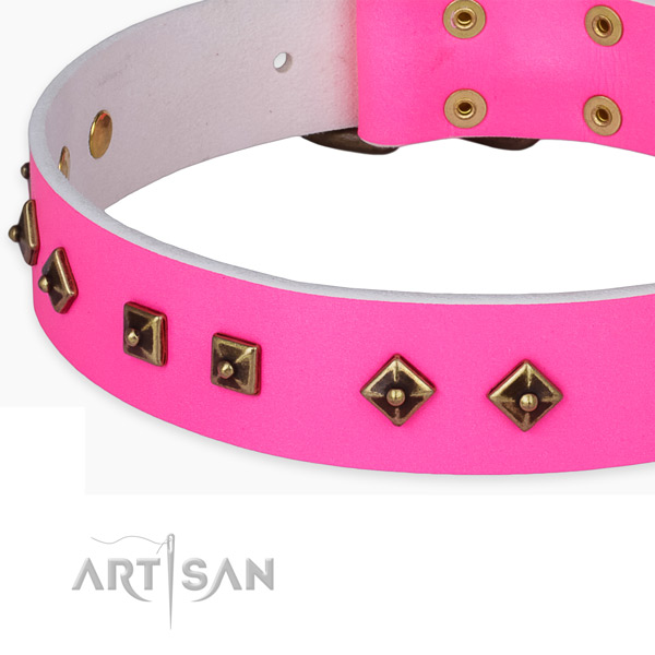 Unusual full grain natural leather collar for your attractive four-legged friend