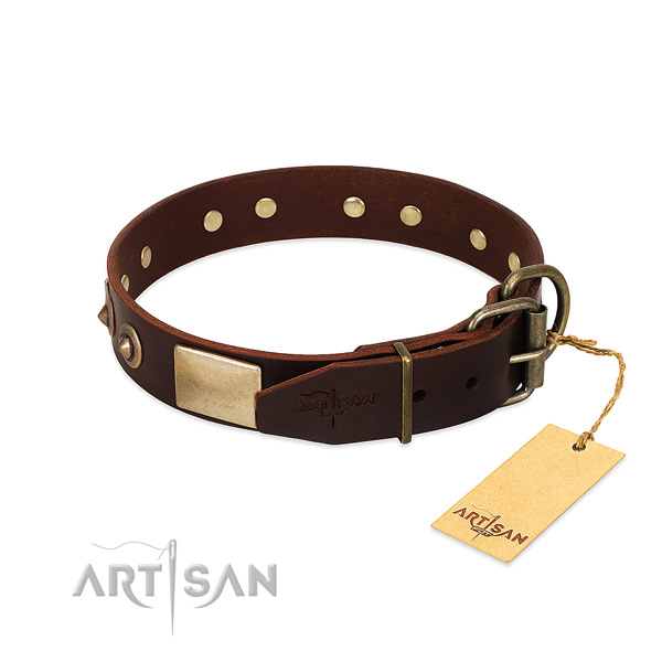Corrosion resistant decorations on basic training dog collar