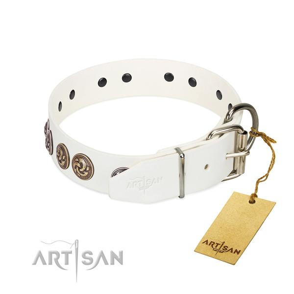 Corrosion resistant traditional buckle on fine quality full grain leather dog collar