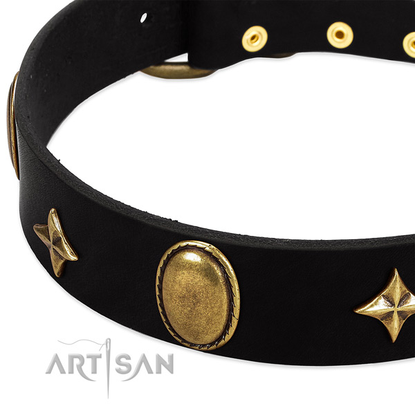 Quality leather collar with rust-proof embellishments for your pet
